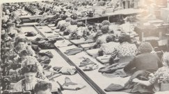 Historische Fotos aus dem Buch der Güterbeförderung „Für uns unterwegs“ 48